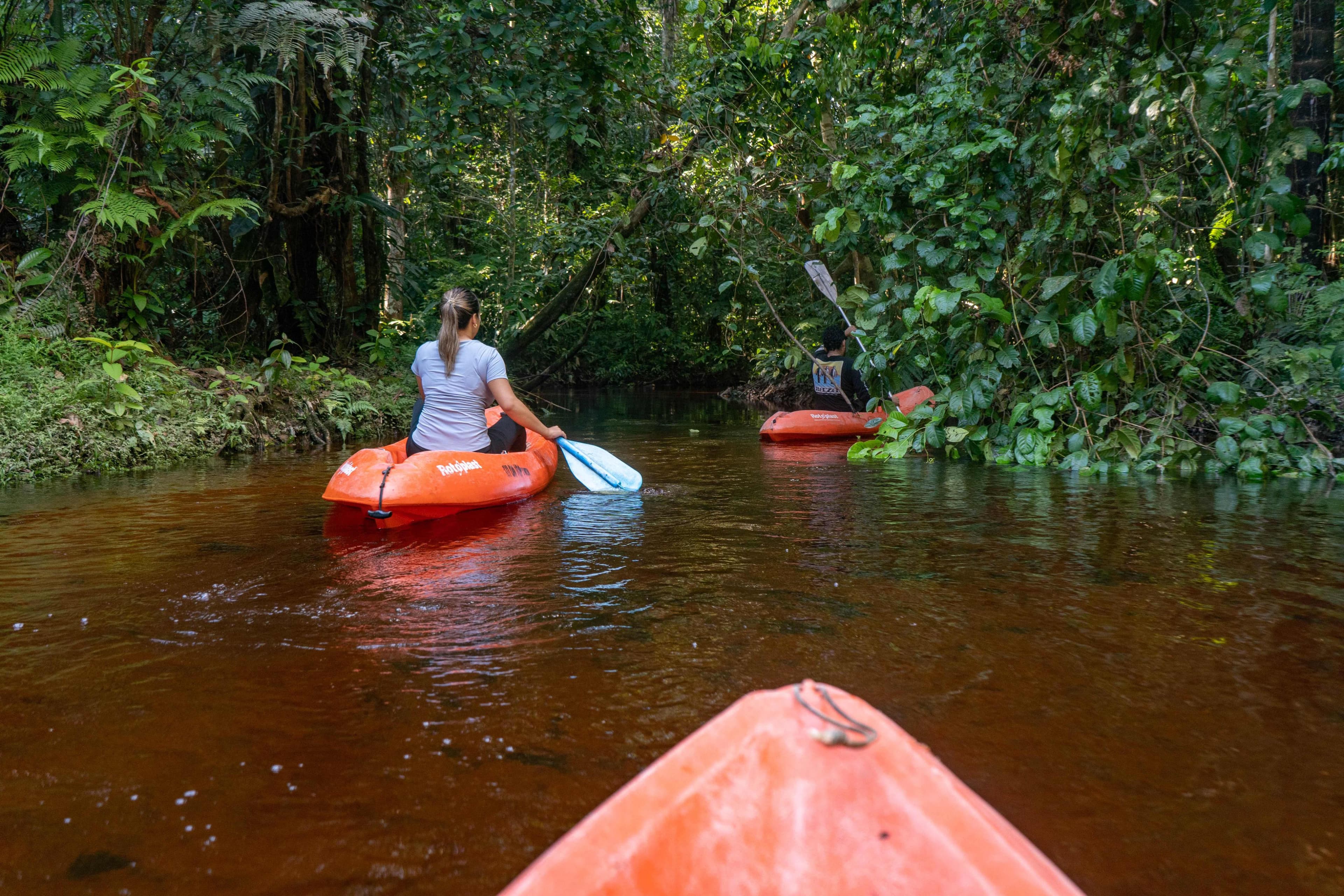 RESERVA NATURAL TANIMBOCA TOUR OPERADOR